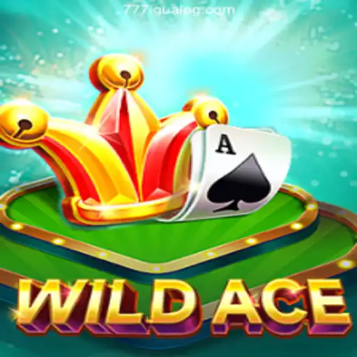Explore the Thrilling World of WildAce: A New Casino Adventure